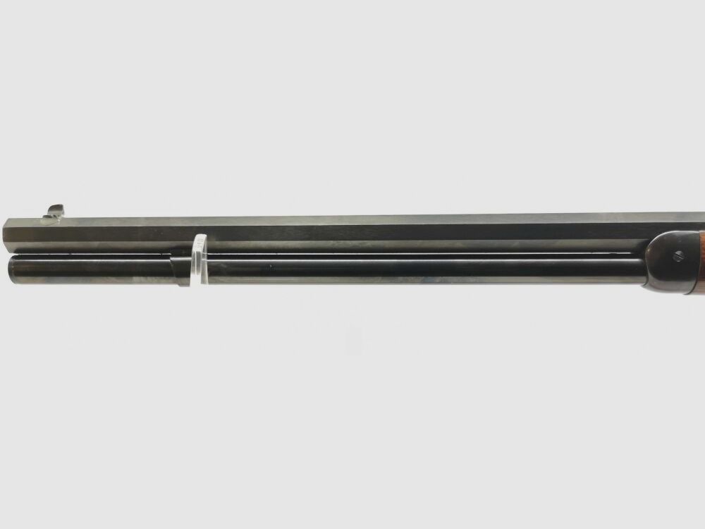 Hege-Uberti 1873