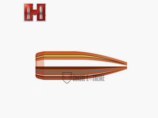 100 Bullets HORNADY 22 cal 224 Bthp Match