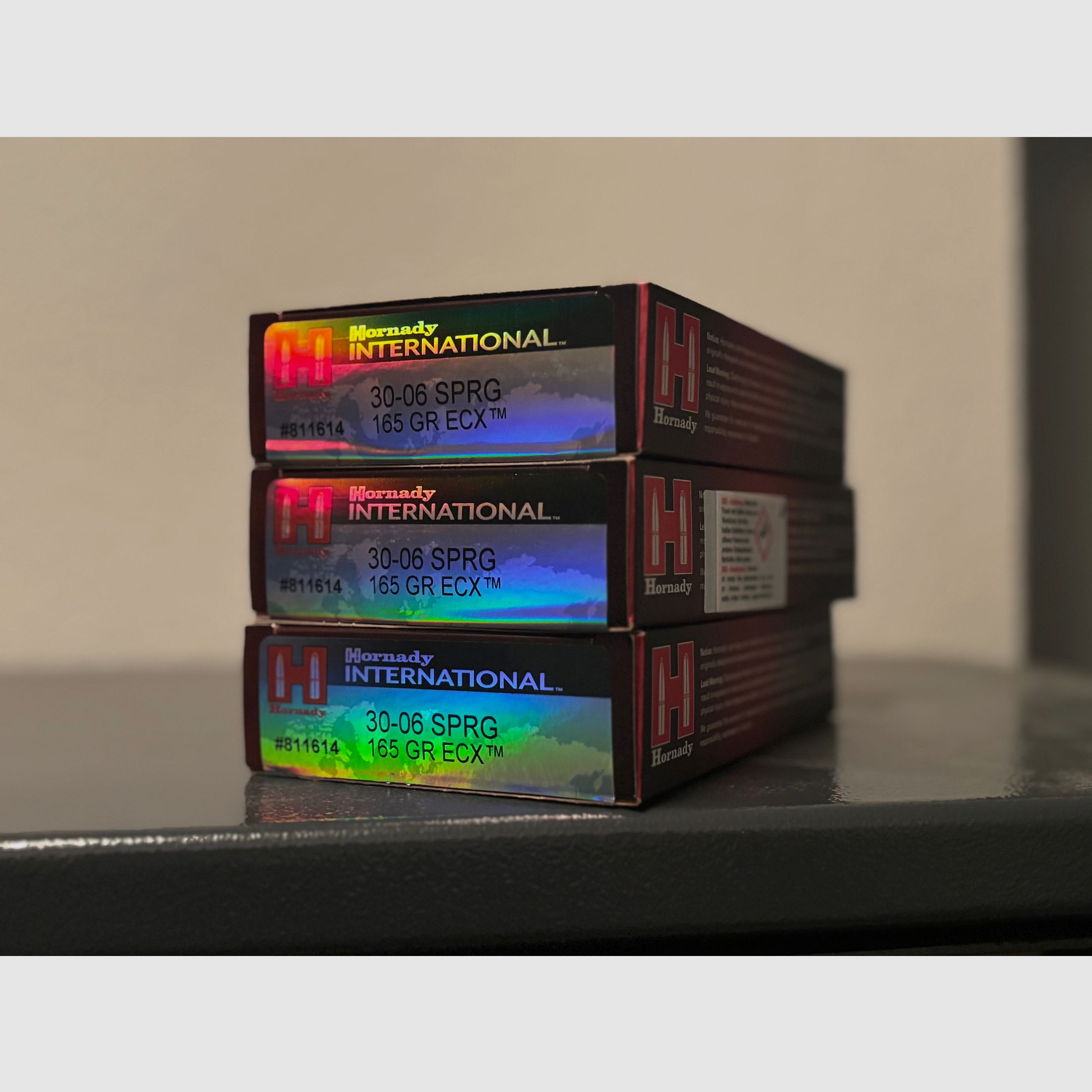 Hornady ECX / .30-06