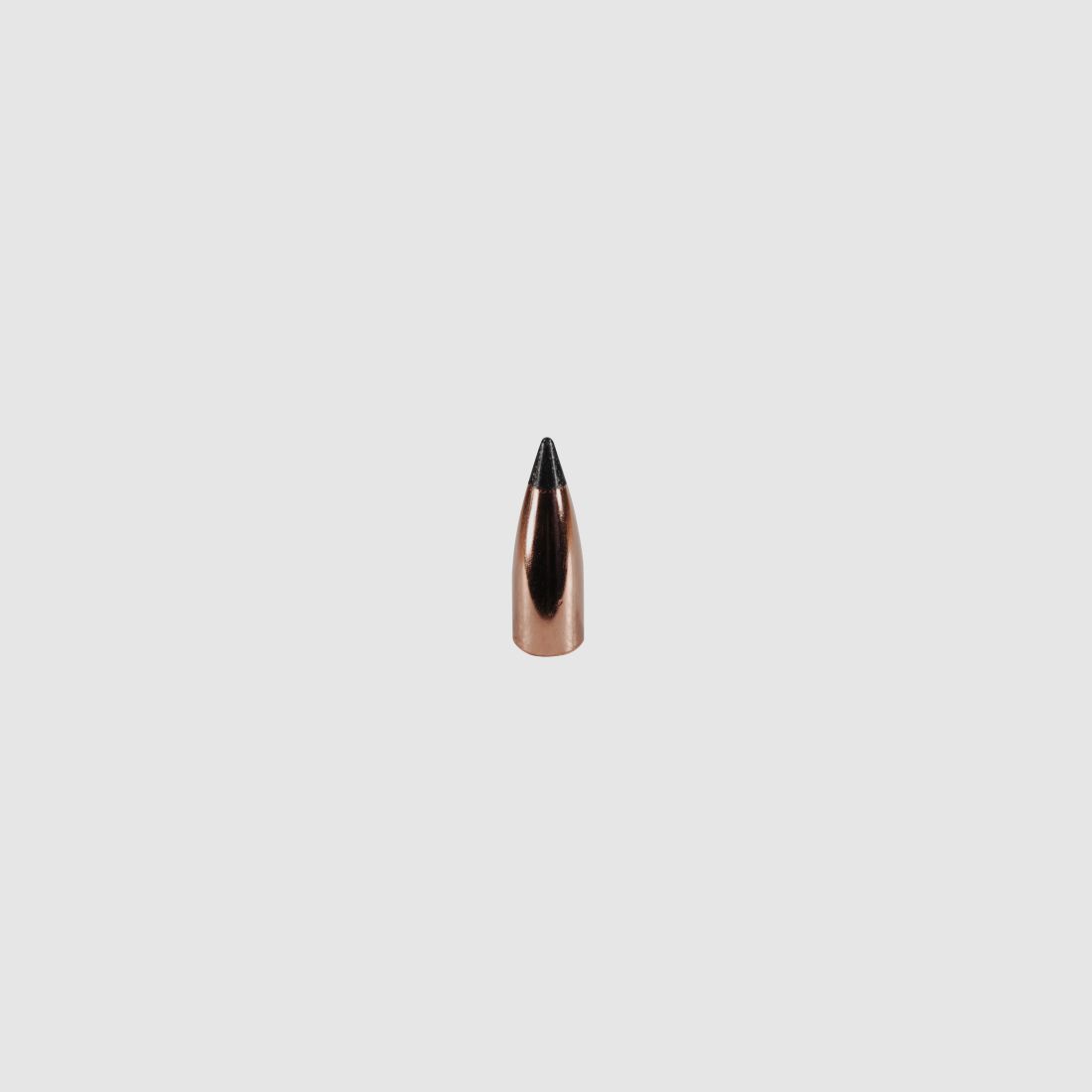 Nosler Geschoss .22/.224 Varmageddon 40GR Teilmantel Tipped Flat Base 100 Stück