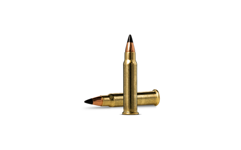 Kaliber .17 HMR