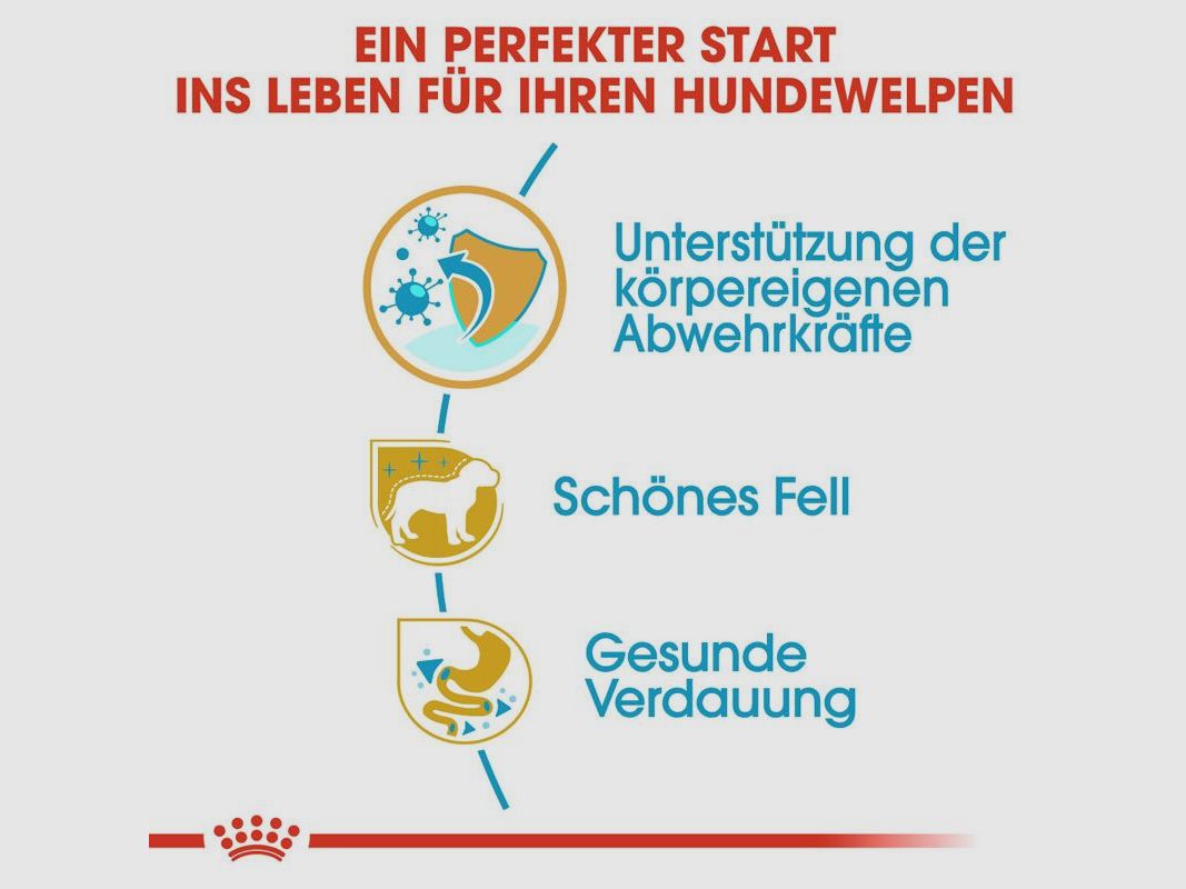 ROYAL CANIN Pudel Trockenfutter Welpen 3 Kg