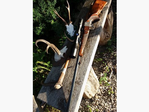 Furtschegger Heerenbüchse falling block rifle