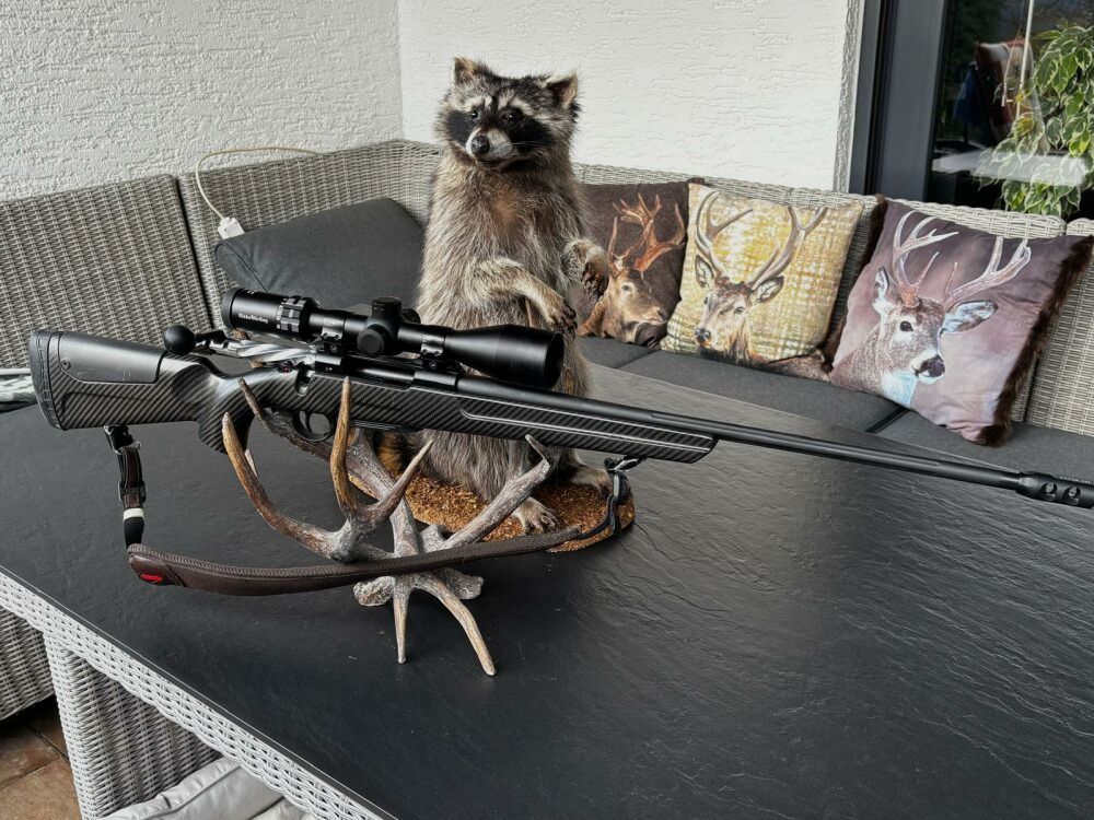 Sabatti Mercury Rover Carbon