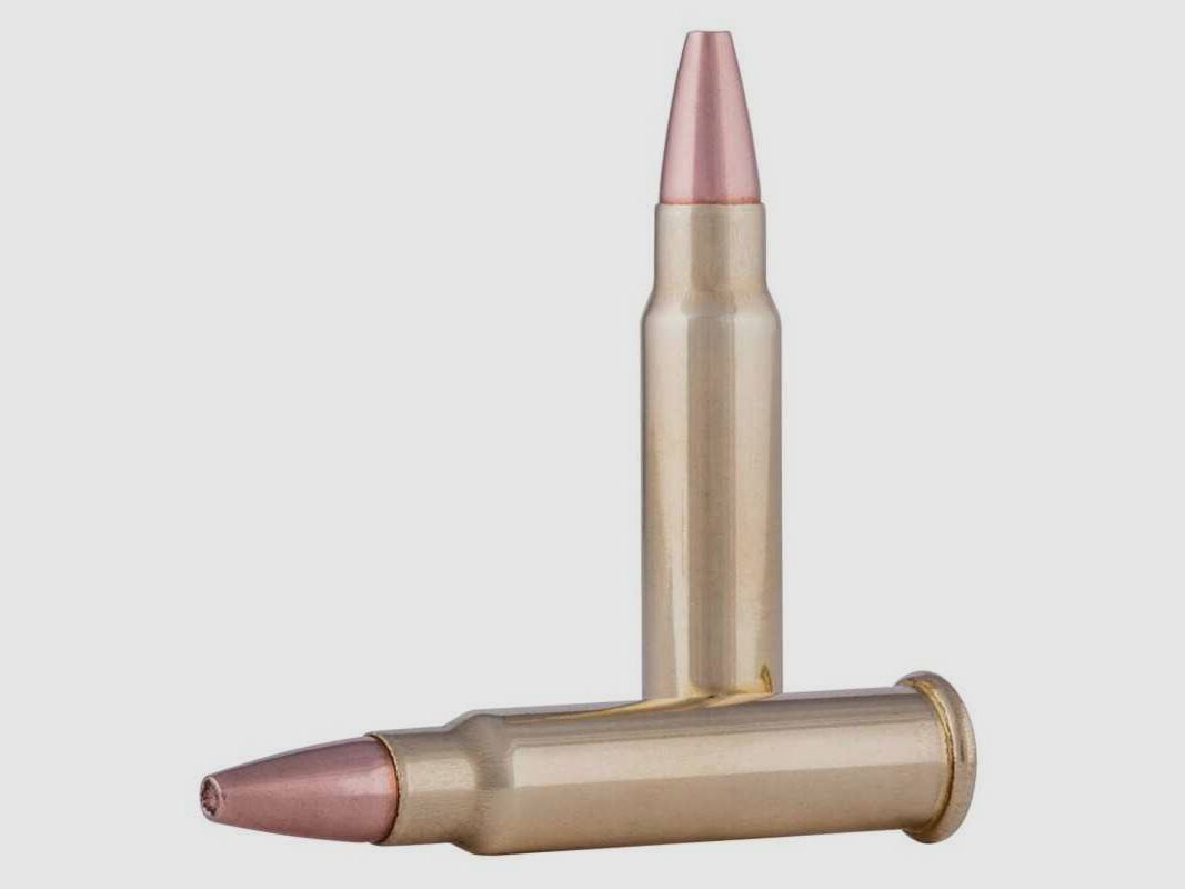 CCI .17 HMR Gamepoint 20 grains - CCI Gamepoint .17HMR 20 grains, image 3 of 3