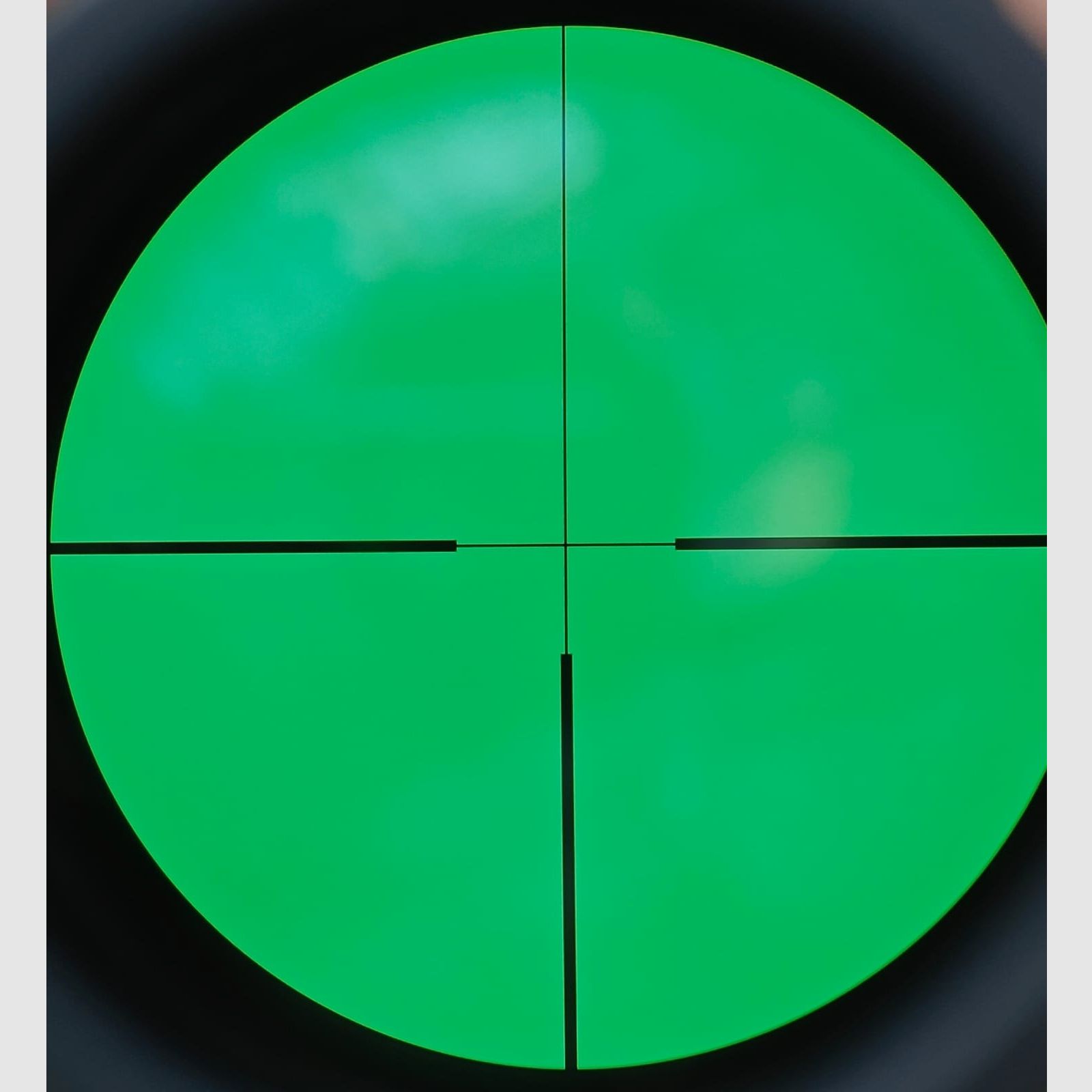 Blaser BS 97 mit Zeiss 3-12x50