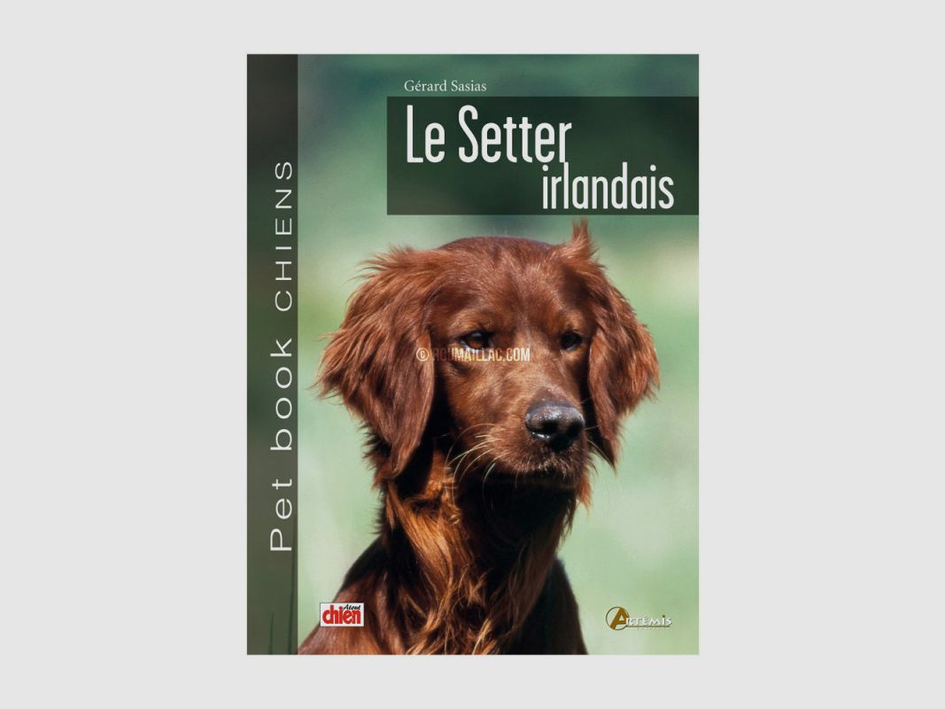 PET BOOK LE SETTER IRLANDAIS