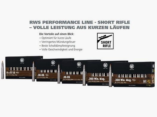 RWS Kugelpatronen .30-06 SR HIT bleifrei 20 Stk   10,7g/165grs