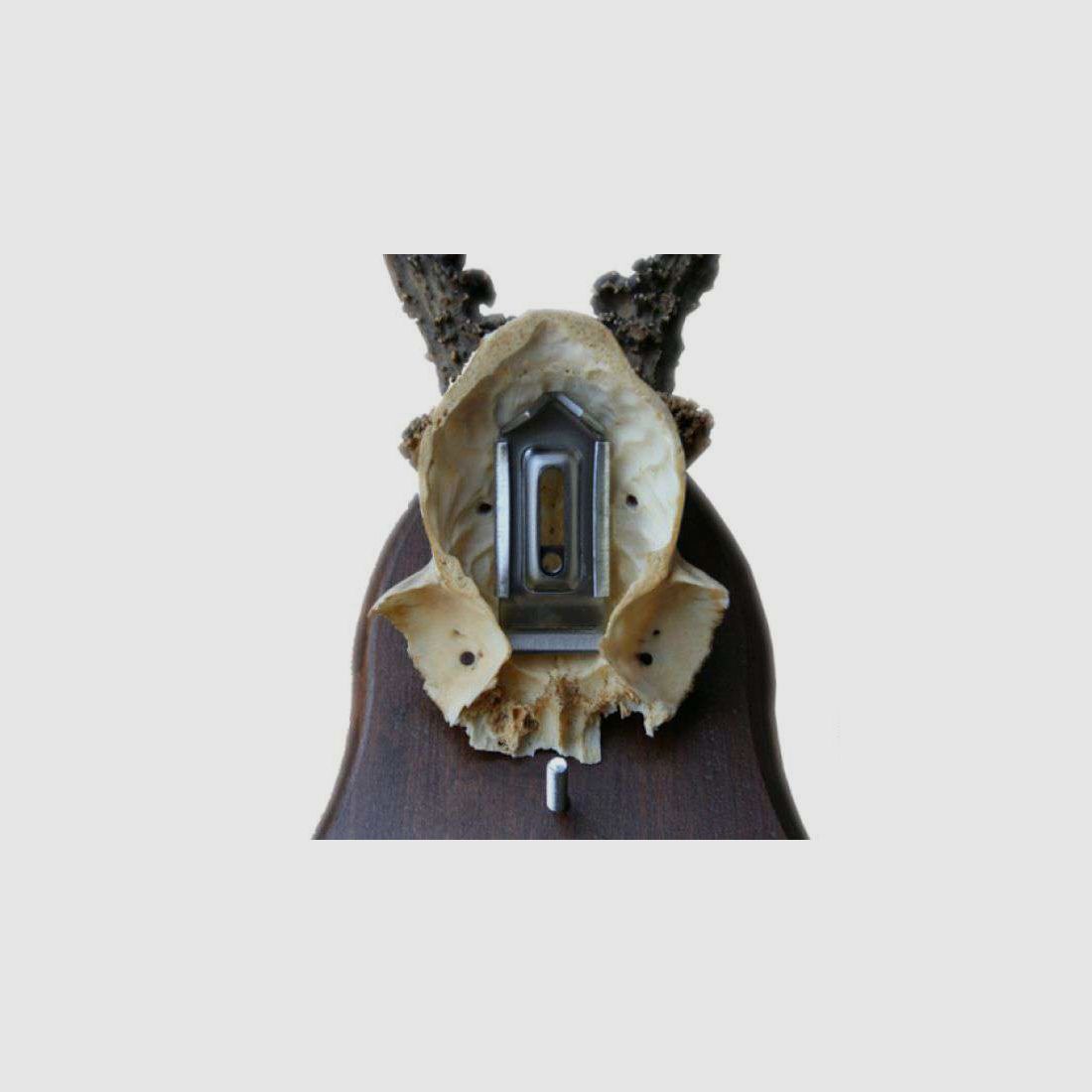 Horn clamps Grip, image 3 of 21