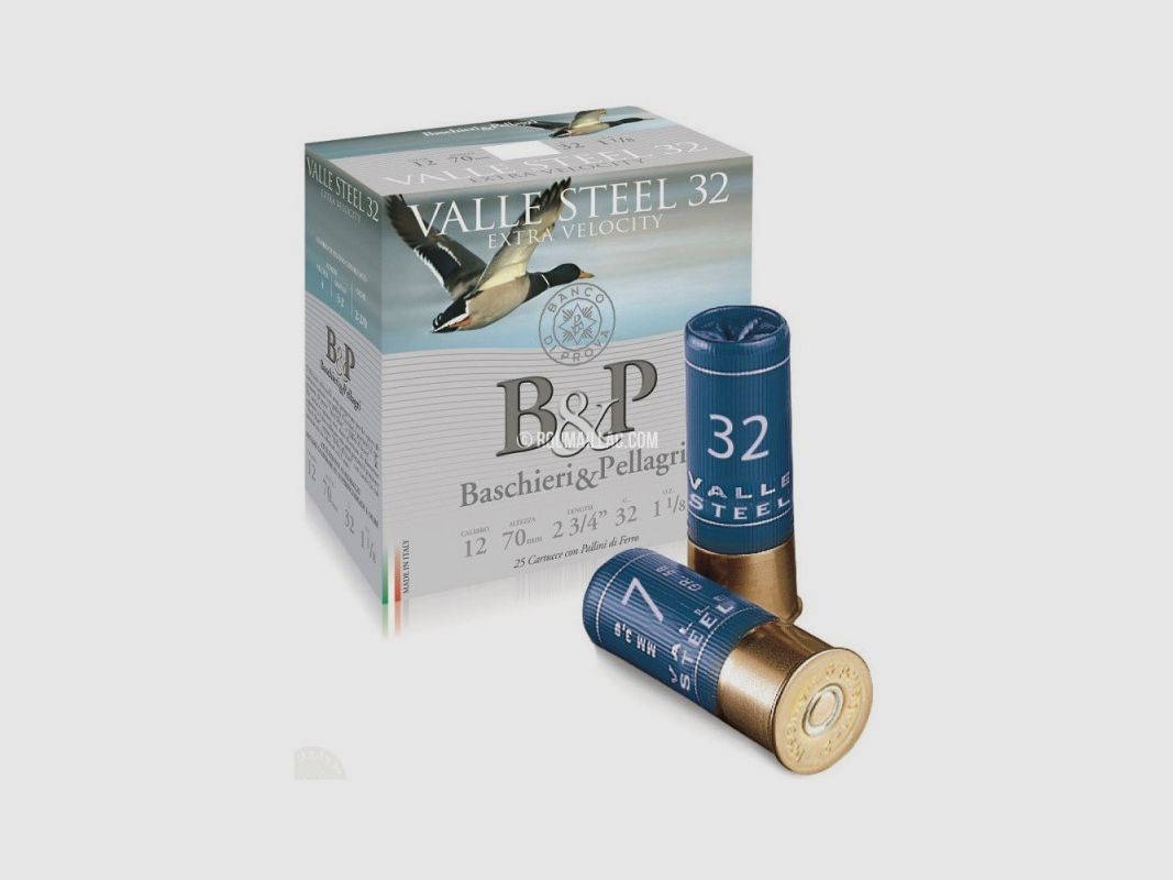 PATRONEN BASCHIERI&PELLAGRI VALLE STEEL 32 HV STAHL