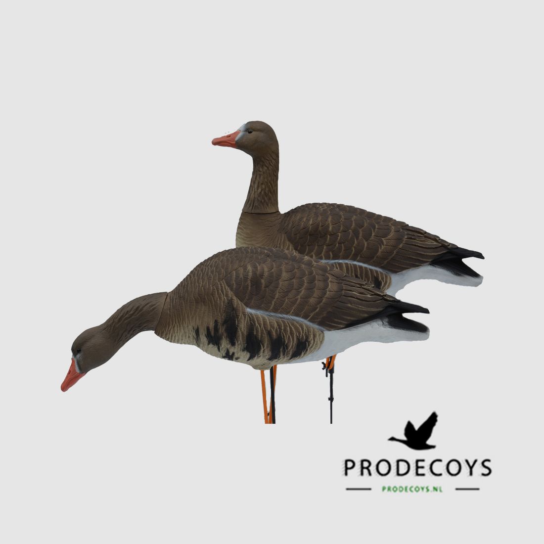 Prodecoys Elite Series Graugans-Lockvögel Full Body – Set mit 6, Bild 1 von 4