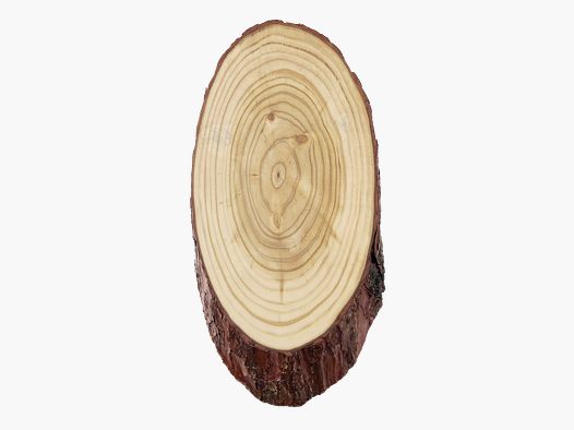 DEER LARCH SHIELD 22X12 CM