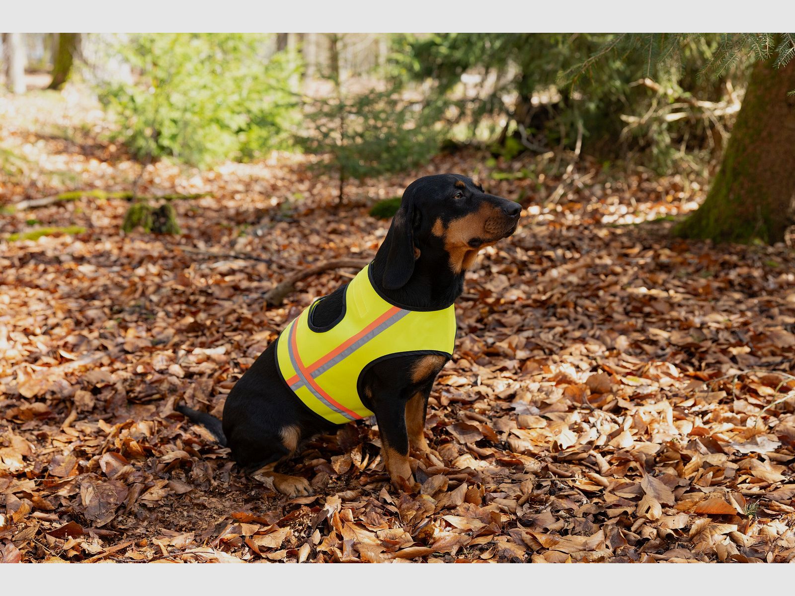 Nordforest Hunting Hundewarnweste