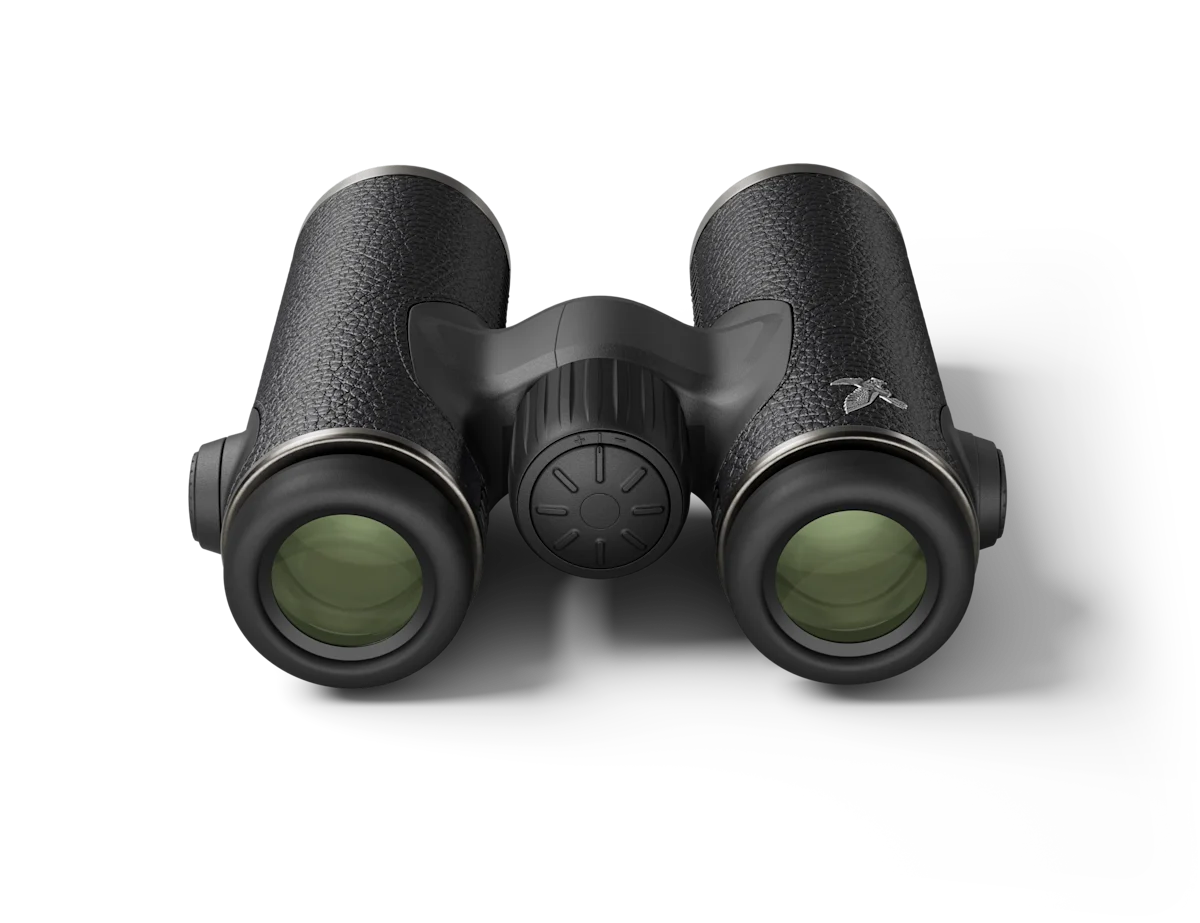 Swarovski CL Companion Habicht 8×30 cuir noir, image 4 sur 5