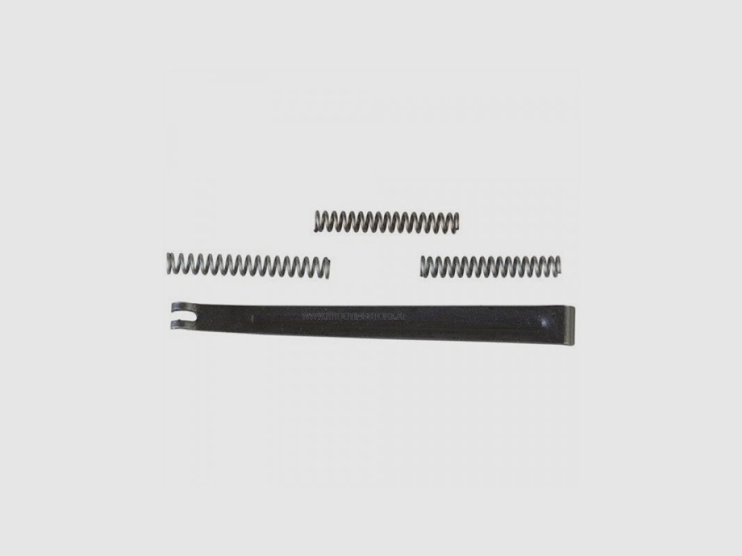 ENSEMBLE DE RESSORTS RÉDUIT S&W K/L/N CADRE