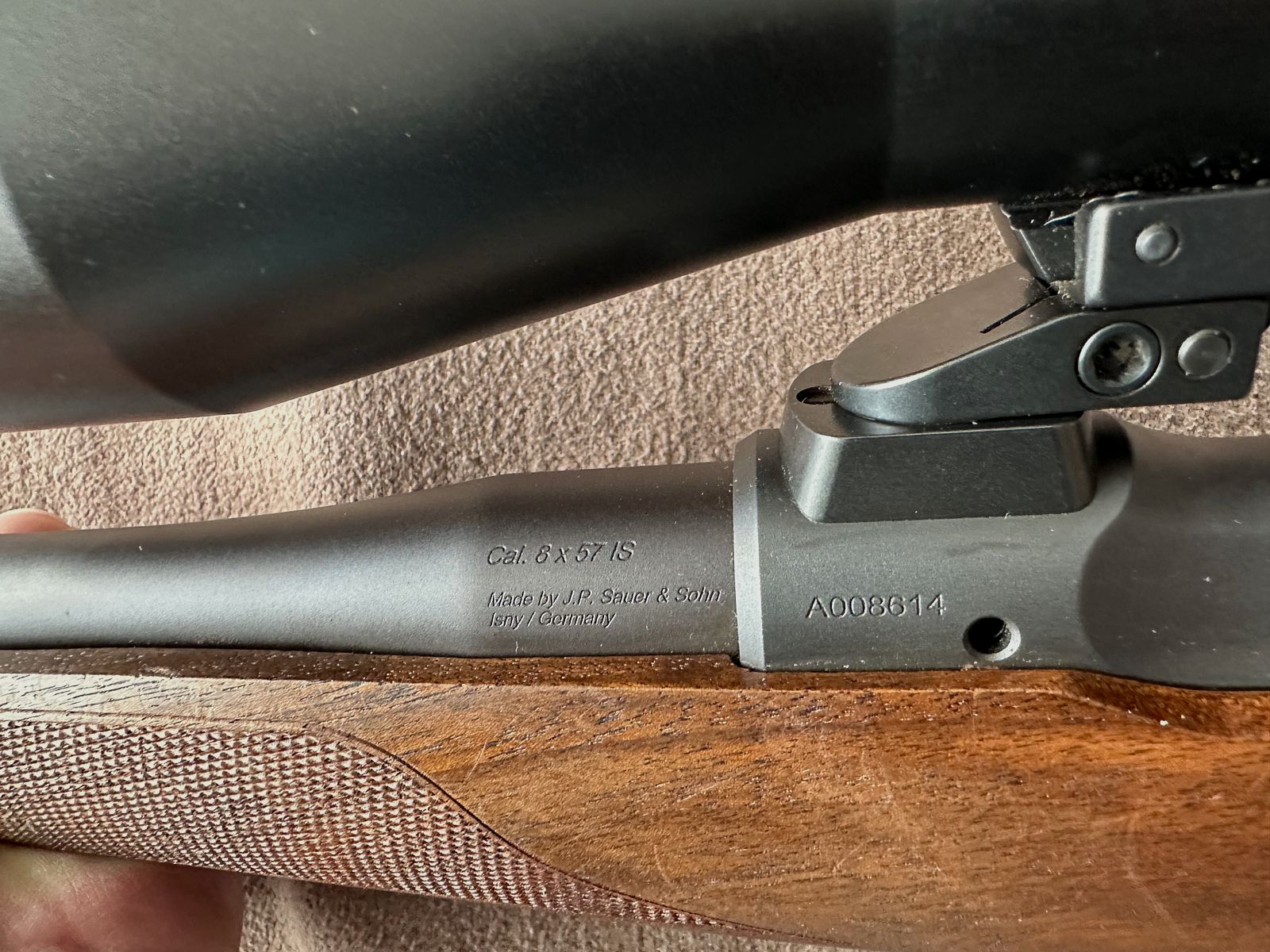 Sauer 101