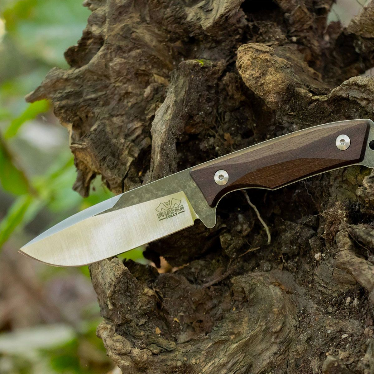 Nóż – Prandi – Bushcraft “Cortel” Traditional S, zdjęcie 2 z 2