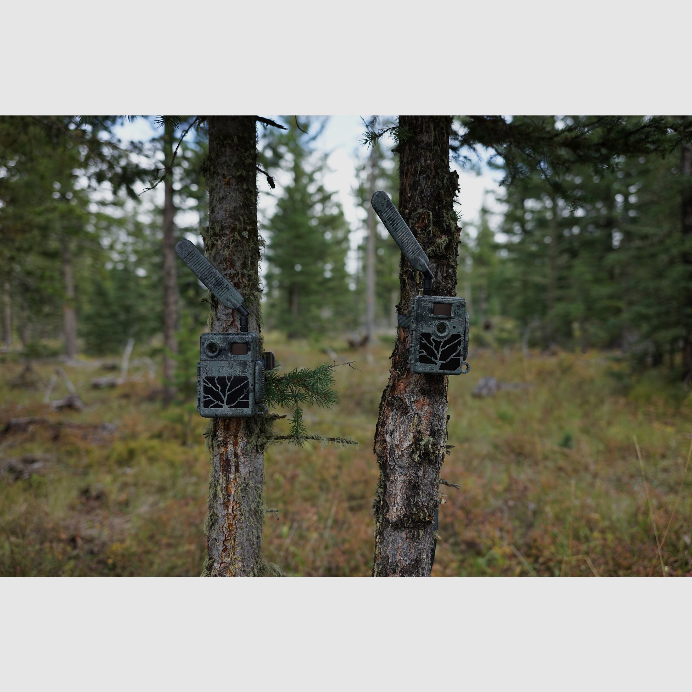 ZEISS Secacam 7 Wildkamera mit Sendefunktion 60 Grad Sehfeld 25m Erkennung