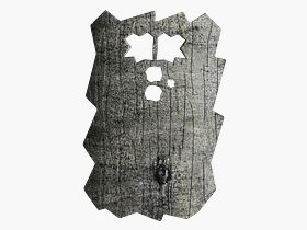 Minox frontplaat voor DTC 460 (Beuk)