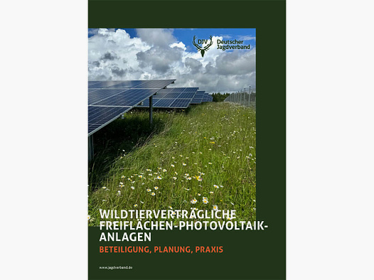 Broschüre „Wildtierverträgliche Freiflächen-Photovoltaik-Anlagen“