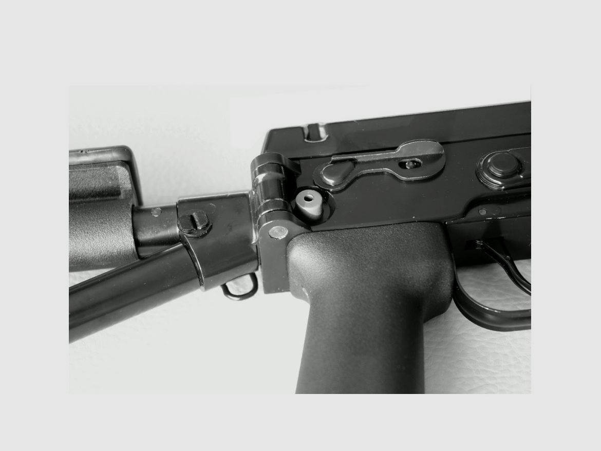  Dragunov/ Izhmash Tigr 308