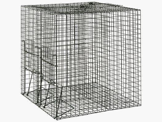 Live capture trap