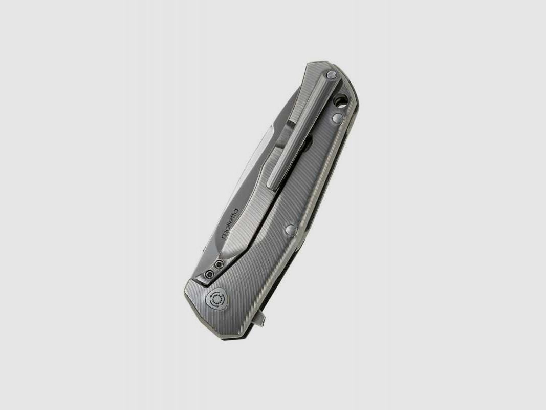Lionsteel T.R.E. G10 Taschenmesser Schwarz