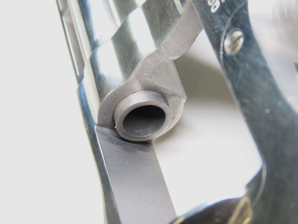 Taurus Euro Champion Stainless Revolver in 6 Zoll