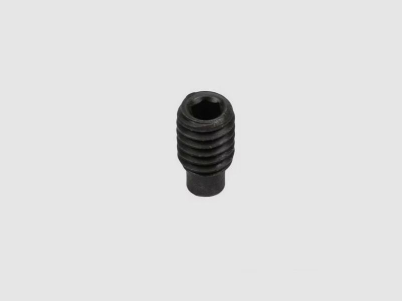 Screw Castle Nut Rifle M1A