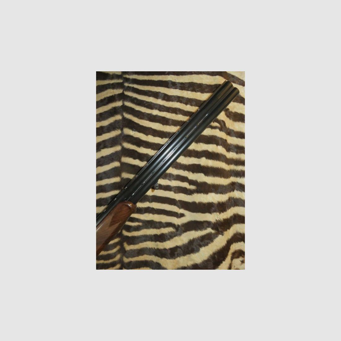 Fucile sovrapposto Country cal. 12/76 canne 71 cm bascula ergal 5 chokes, estrattore, monodetto, immagine 2 di 10