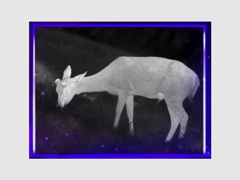 Pulsar ORYX LRF XG 35 jumelles thermiques / longue-vue d’observation, image 9 sur 27