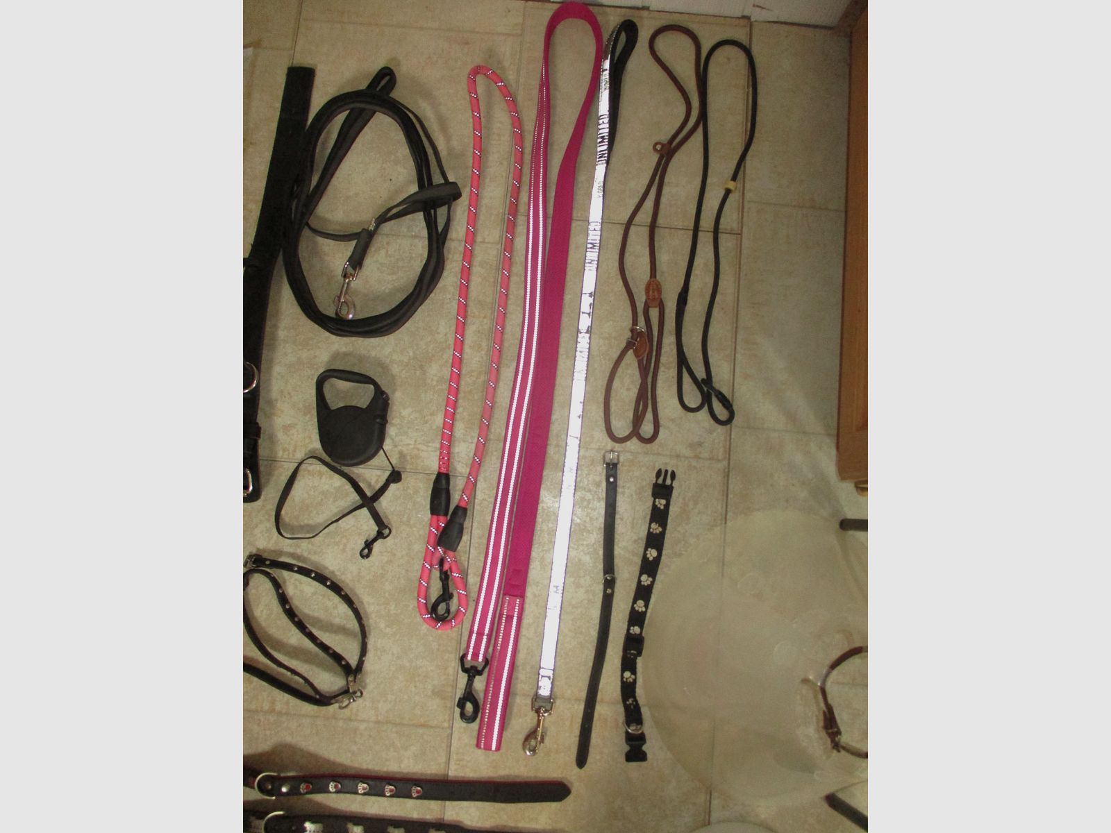 Hundezubehör, Leinen, Halsbänder, Kleidung, Näpfe...