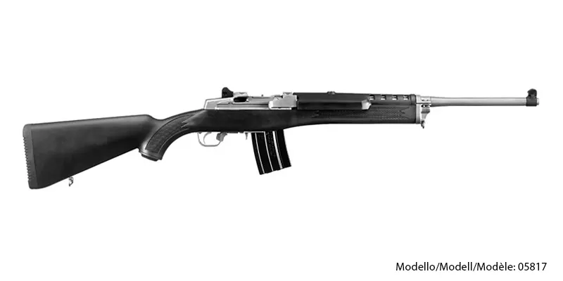 Ruger Mini-14 Ranch .223 Matte Stainless