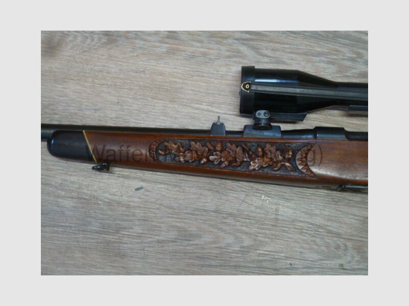 Steyr Mannlicher Mod.M