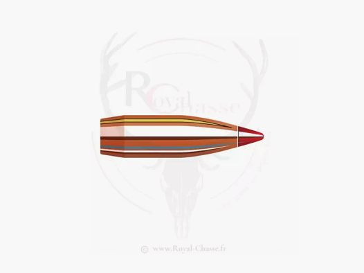 100 ogives Cal.6mm D.243 75Grs V-MAX HORNADY