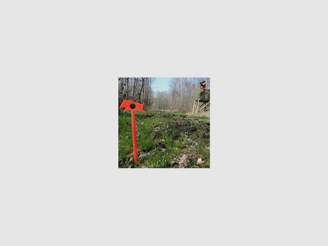 1 fluorescent picaillon wild boar motif - 30° angle gauge
