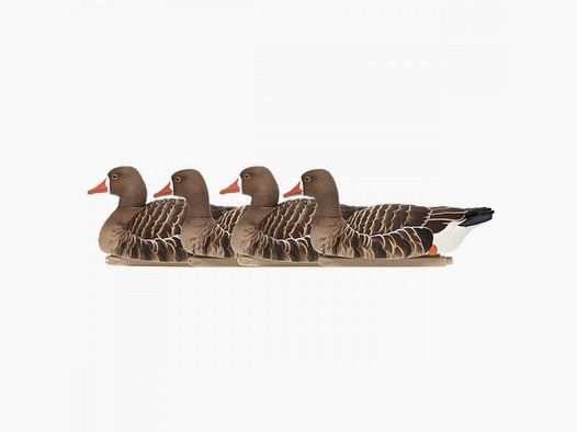 Formen von Schwimmenden Gänsen AvianX x4
