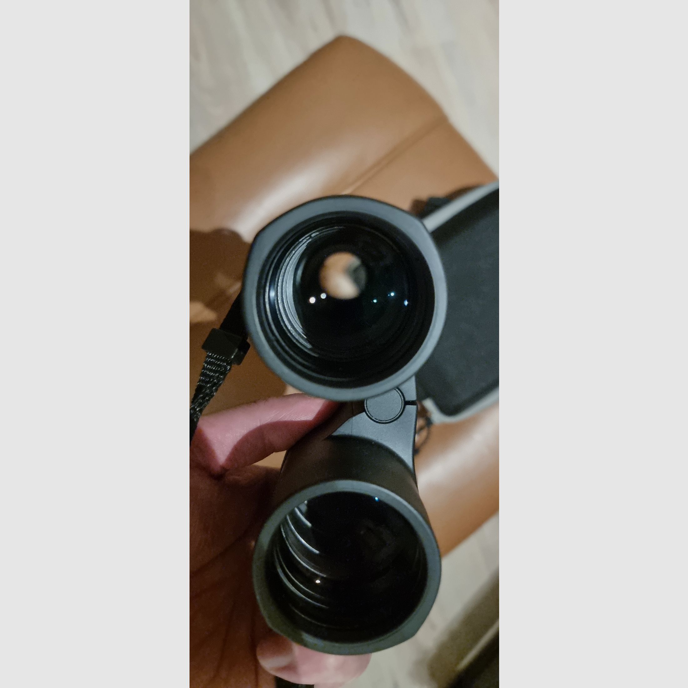 Binoculars Zeiss Terra ED 10x42