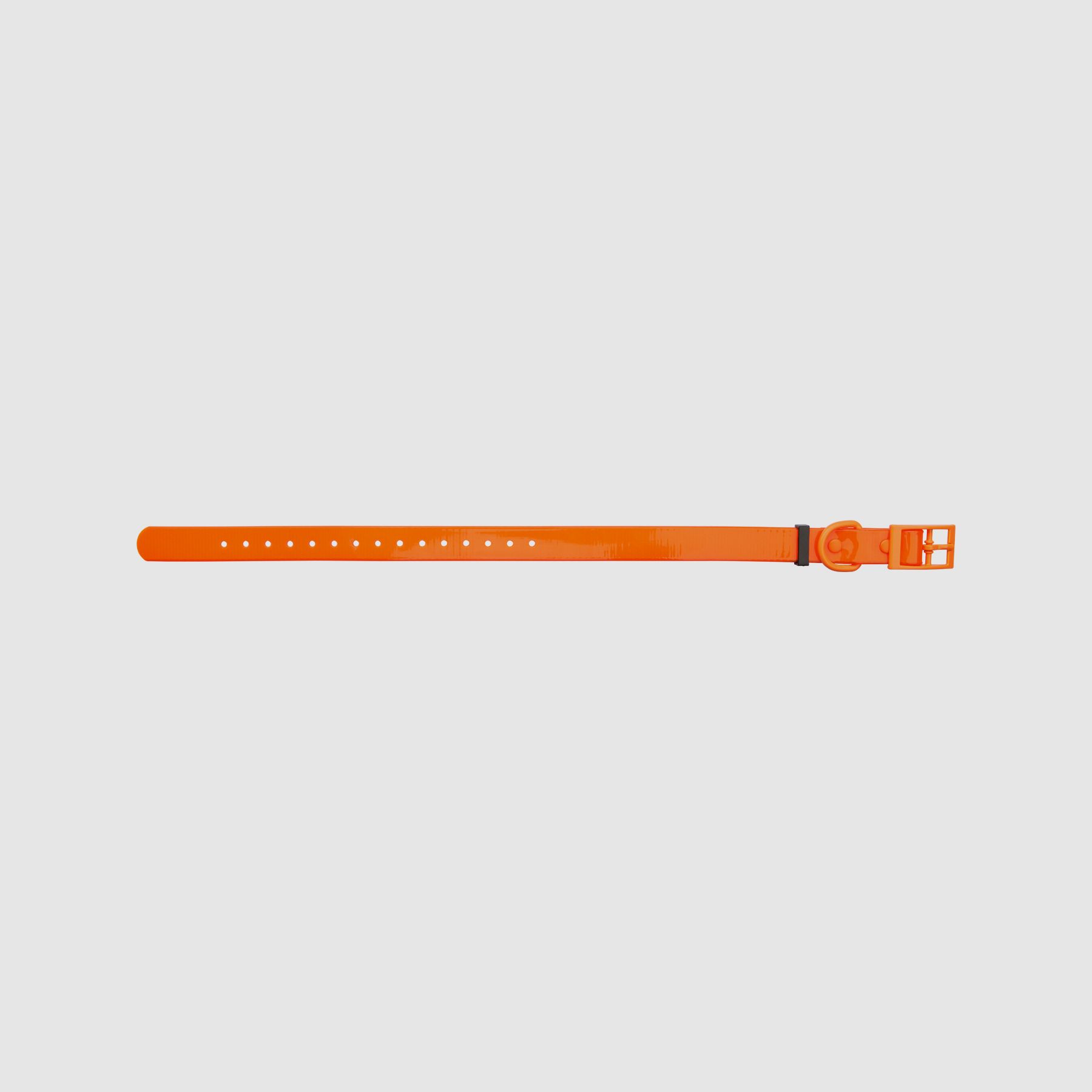 HP&G Dog Collar 19mm Orange
