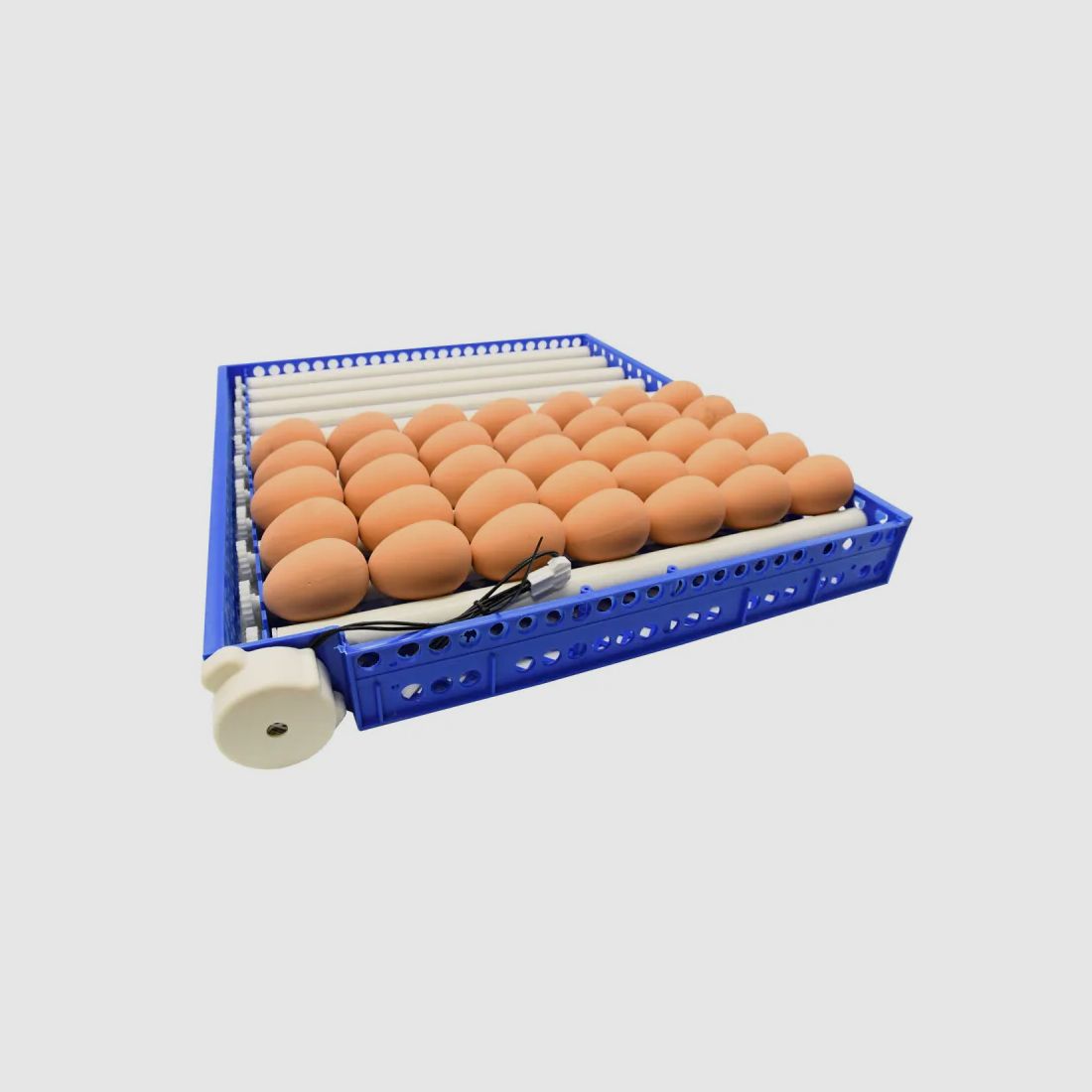 Automatische Brutmaschine Couvitech PRO 68 Eier – 1 Schale, Bild 7 von 33