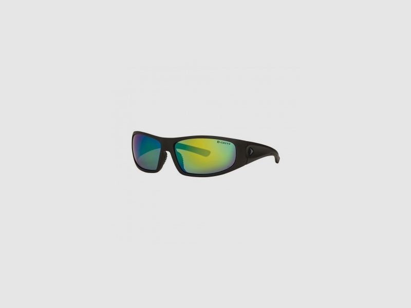 POLARISIERENDE BRILLE G1