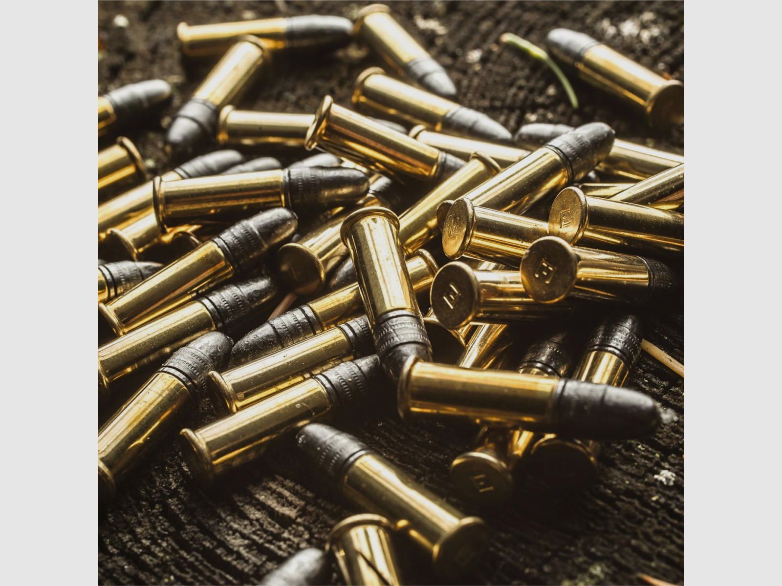 Eley Tenex .22 LR 40GR LFN 50 Patronen