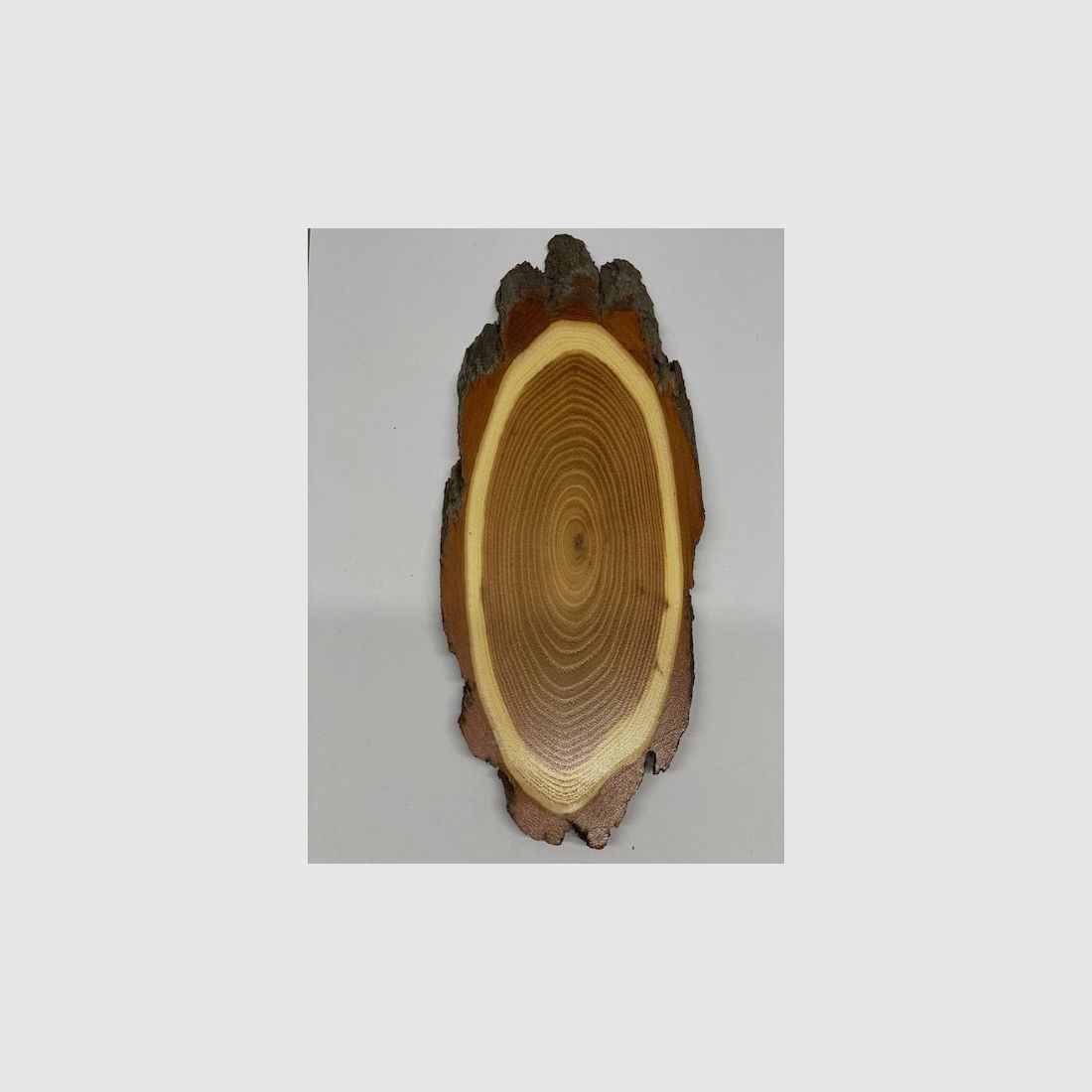 Akazienschilder für Hirschtrophäen ca. 37cm x ca.20cm
