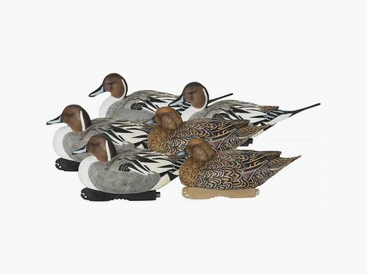 KIT 6 Formen Codone GHG Pro-Grade Gadwall Decoys