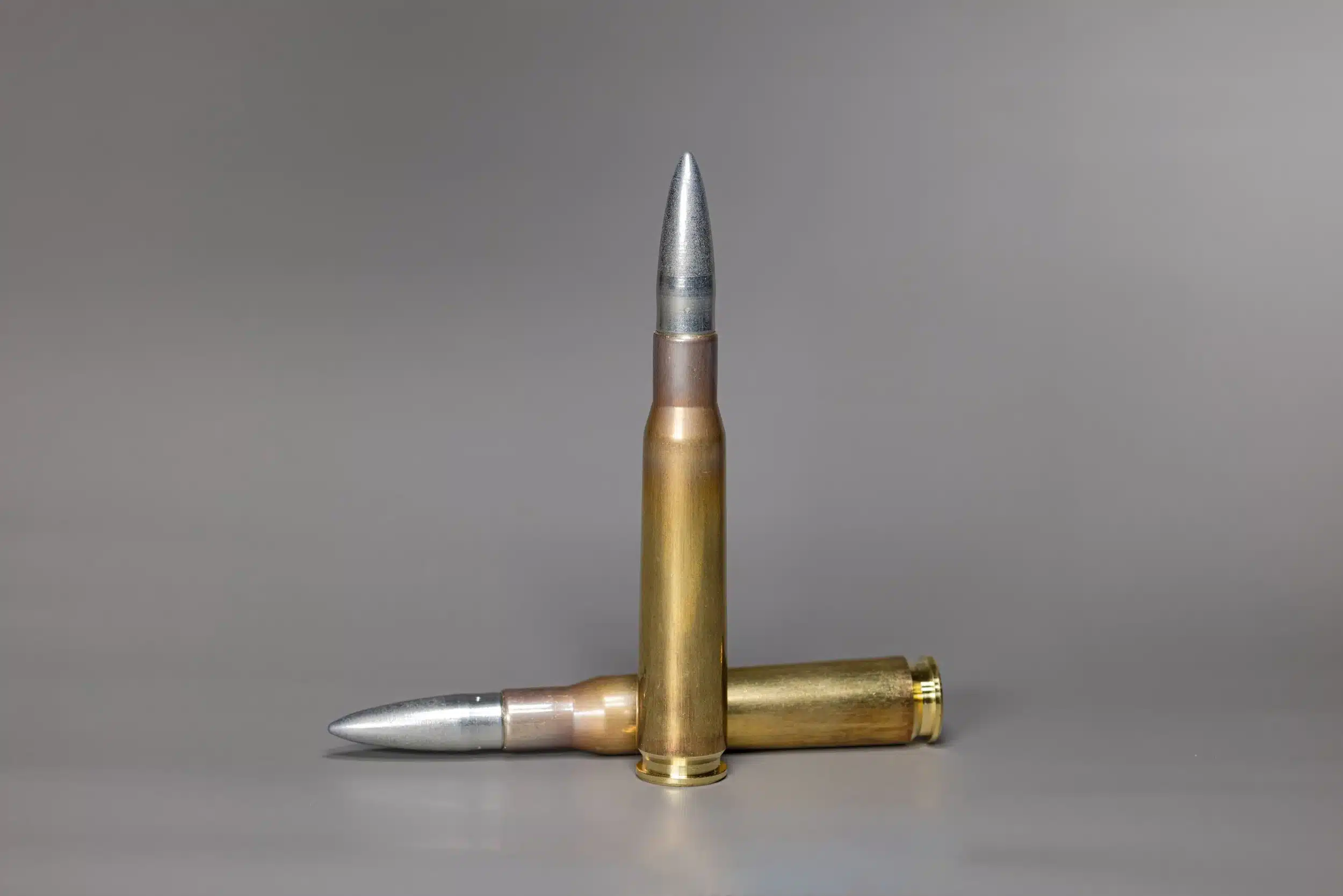 .50 BMG Swiss P Sniper – Training SX JSC 41.7g / 644grs. – 10 pcs., image 2 sur 2