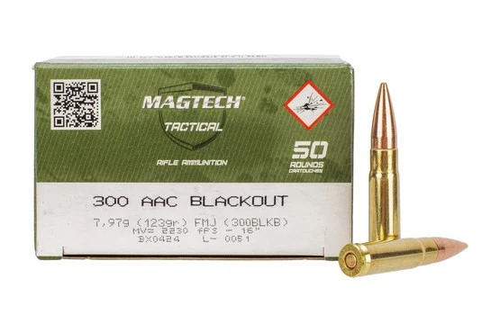 300 AAC Blackout FMJ 7,97 g / 123 grs 1000 RDS