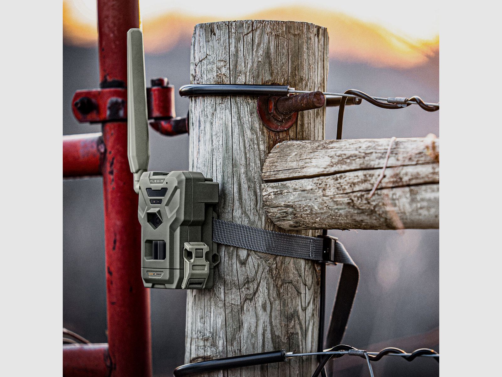 Spypoint Flex M