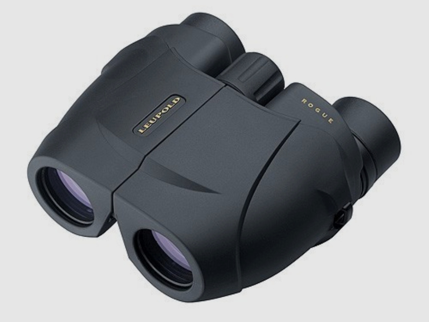 Leupold BX-1 Rogue Compact 10x25mm czarny