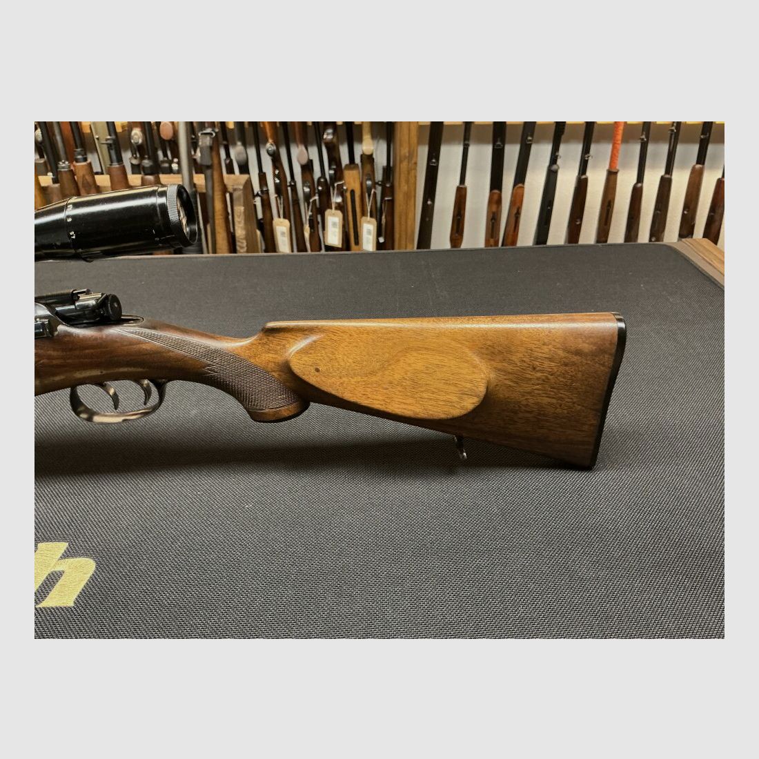 Steyr 1950 6,5x54M-Sch