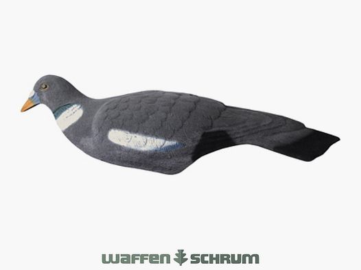 Halbschalen-Locktaube beflockt